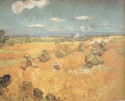 Vincent Van Gogh Wheat Stacks wtih Reaper (nn04) oil painting image